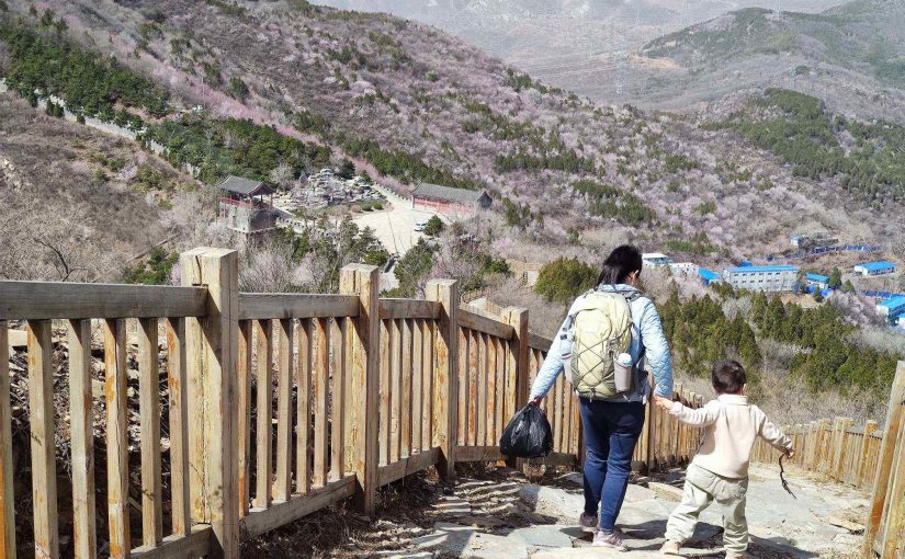 又到春日小环线