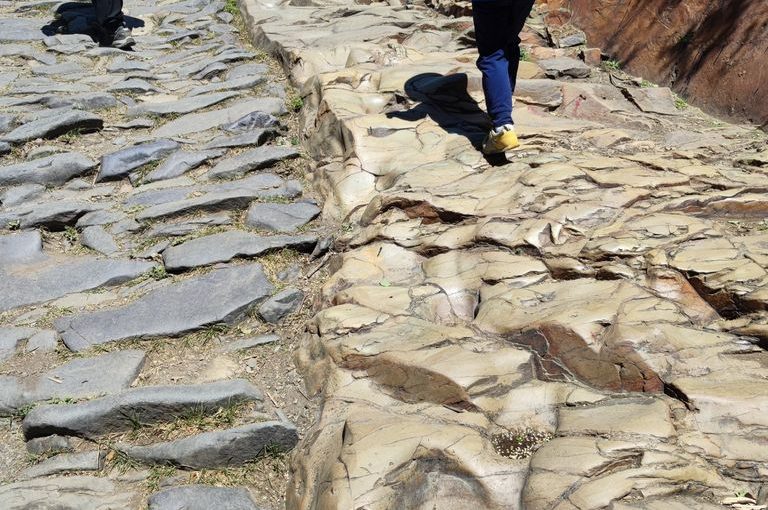 不一样的马蹄窝